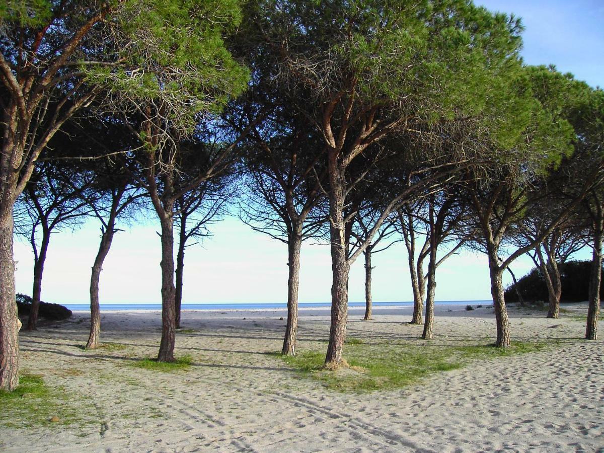 Appartamento Gli Ulivi Budoni Esterno foto